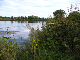 Farmington Lakes