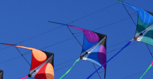 kite fly