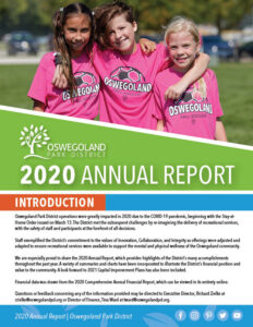 Annual Report Cover 2020