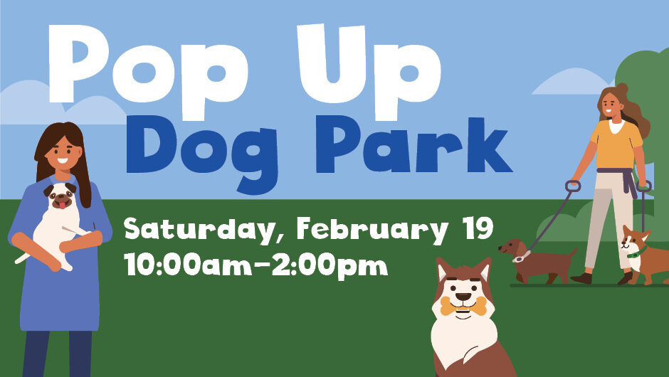 Pop Up Dog Park